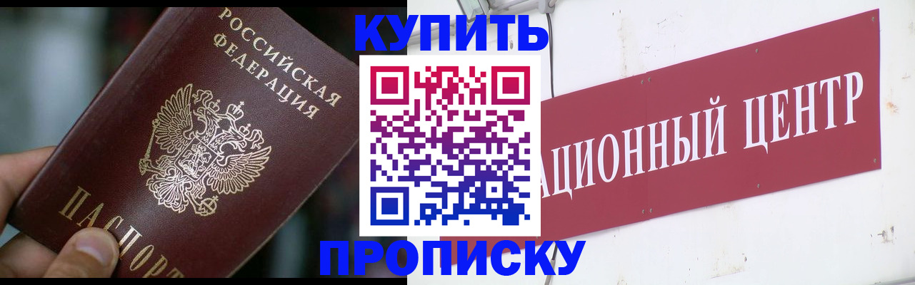 прописка в квартире в Светлогорске